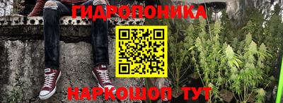 mdpv Новозыбков